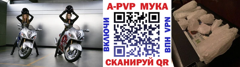 Alpha PVP СК omg сайт Вяземский