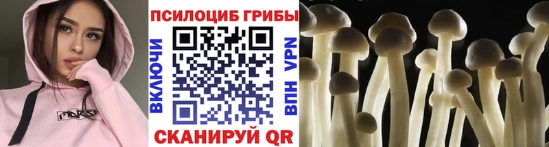 Галлюциногенные грибы MAGIC MUSHROOMS  Вяземский 